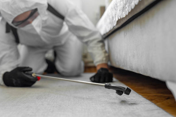 Professional Cockroach Control technician working in Utica, IN